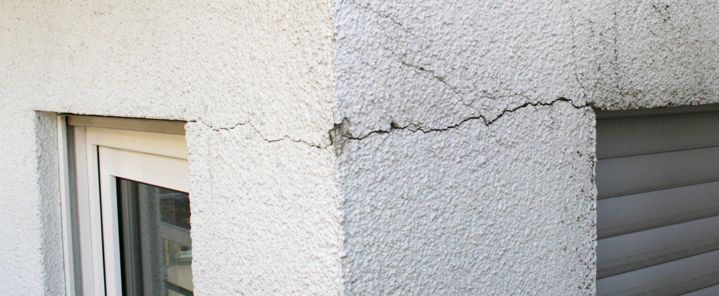 foundation